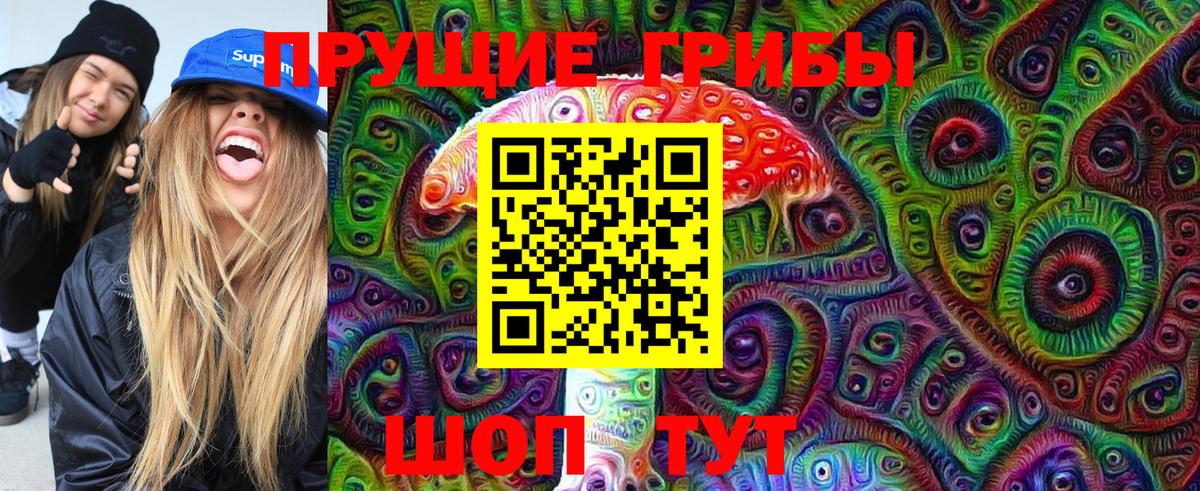 Псилоцибиновые грибы Psilocybe  Вход с VPN  Усть-Джегута 